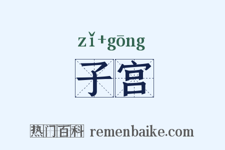 子宫是什么意思的图片